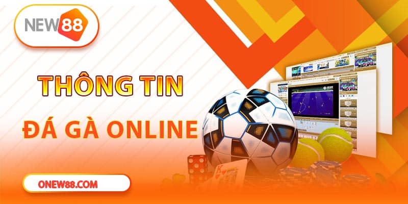 Đá Gà New88 Sân Chơi Cá Cược Sôi Động, Kiểu Chơi Đa Dạng - vaxor.fun