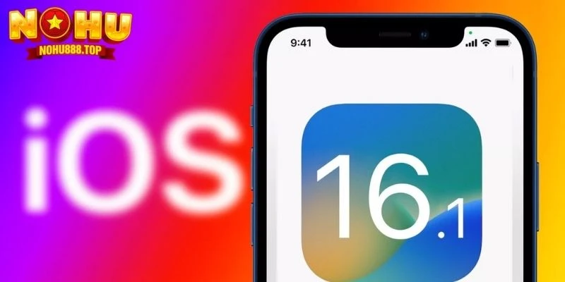 Hướng Dẫn Tải App NOHU Dễ Và Đơn Giản Trên Android Và IOS - vaxor.fun