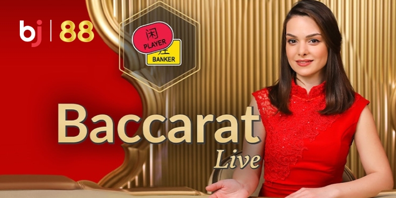 Casino BJ88 – Sân Chơi Đẳng Cấp Cho Những Người Thích Cá Cược - vaxor.fun