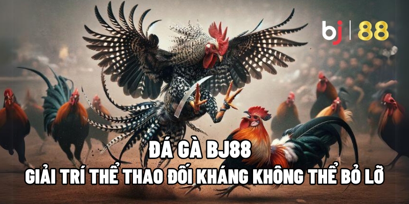 Đá Gà BJ88 – Giải Trí Thể Thao Đối Kháng Không Thể Bỏ Lỡ - vaxor.fun